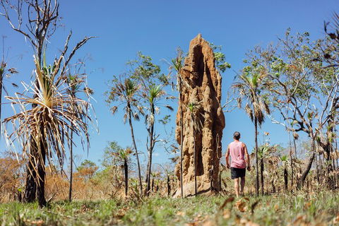 Litchfield National Park Waterfalls And Wildlife Tour From Darwin - QLD Tourism 4