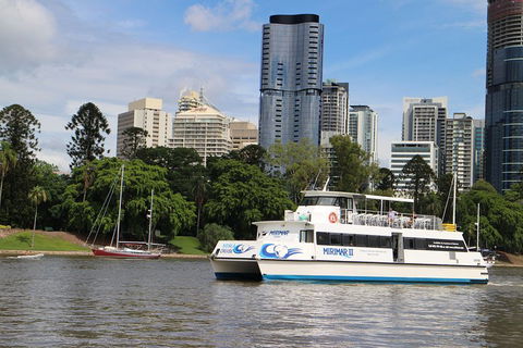 Lone Pine Koala Sanctuary Admission With Brisbane River Cruise - QLD Tourism 2