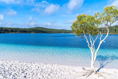 Lake McKenzie Full-Day Tour With Lunch From Hervey Bay - QLD Tourism 1
