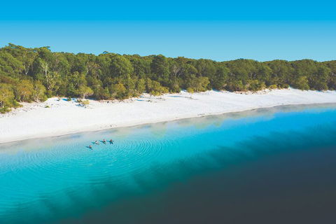 Lake McKenzie Full-Day Tour With Lunch From Hervey Bay - QLD Tourism 4