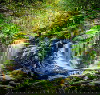 Day Tour in Mt. Field Mt. Wellington Bonorong Wildlife Sanctuary and Richmond - QLD Tourism