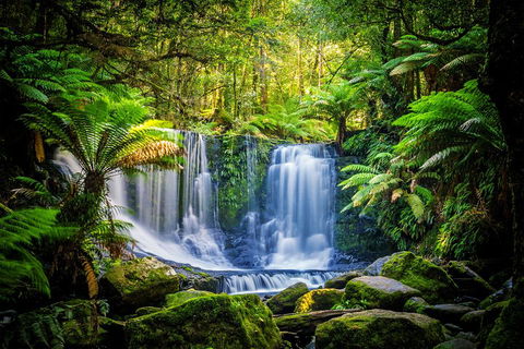 Day Tour In Mt. Field, Mt. Wellington, Bonorong Wildlife Sanctuary And Richmond - QLD Tourism 0
