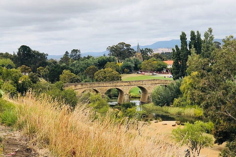 Day Tour In Mt. Field, Mt. Wellington, Bonorong Wildlife Sanctuary And Richmond - QLD Tourism 3