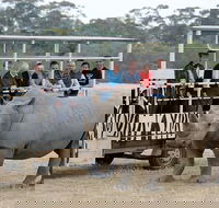 Off-Road Safari at Werribee Open Range Zoo - QLD Tourism