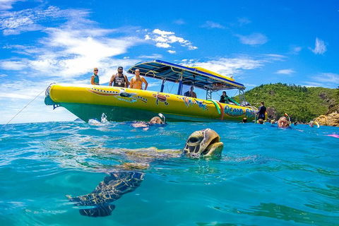 Great Barrier Reef Scenic Flight And Ocean Rafting Whitehaven Beach Day Trip - QLD Tourism 1