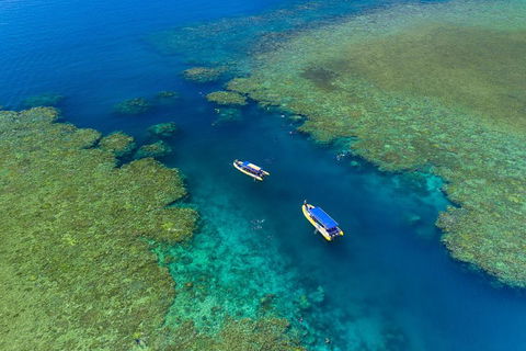 Great Barrier Reef Scenic Flight And Ocean Rafting Whitehaven Beach Day Trip - QLD Tourism 4