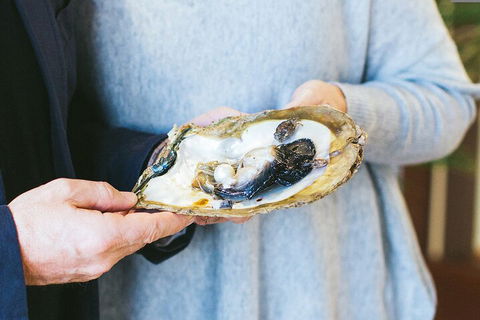 Half-Day Willie Creek Pearl Farm Tour With Helicopter Flight - Queensland Tourism 3