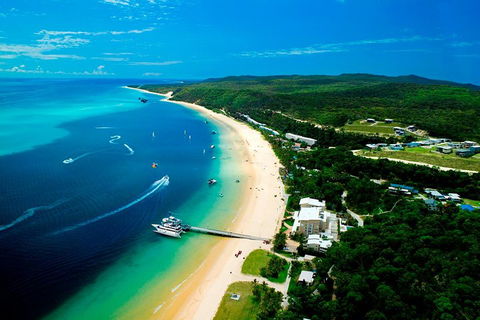 Tangalooma Island Resort Whale Watching Day Cruise - QLD Tourism 2