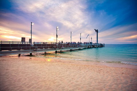 Tangalooma Island Resort Whale Watching Day Cruise With Dolphin Viewing - QLD Tourism 3
