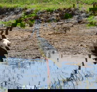 Darwin to Kakadu Day Trip by Air Including Yellow Water Cruise - QLD Tourism