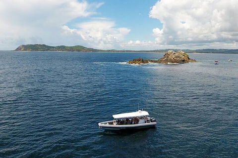 Julian Rocks Byron Bay Cruise - QLD Tourism 5
