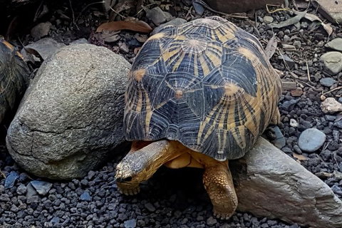 Hartley's Crocodile Adventures General Entry Ticket - QLD Tourism 2