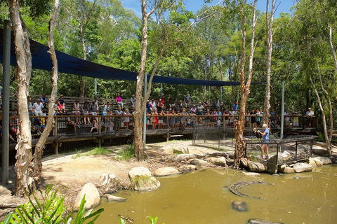 Hartley's Crocodile Adventures Breakfast With The Koalas - QLD Tourism 1