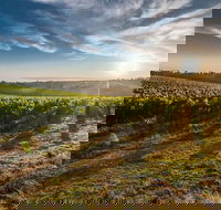 Perth to Margaret River Wine Tour - 2 Day Premium Boutique Wine Tour Experience - QLD Tourism