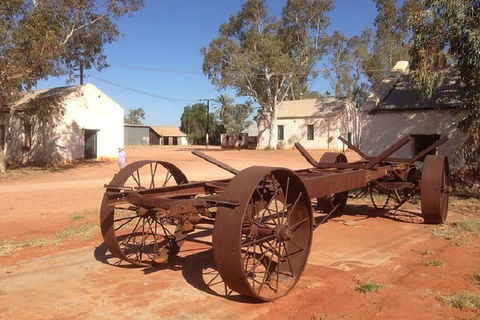 Palm Valley 4WD Day Tour - QLD Tourism 0