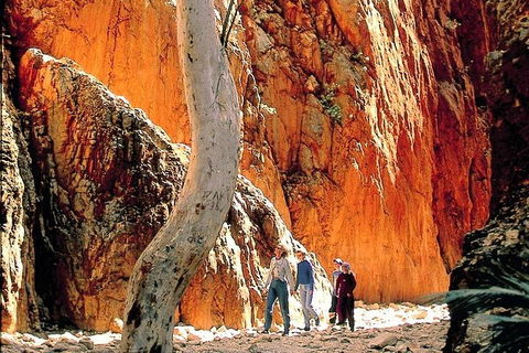 West MacDonnell Ranges Day Trip From Alice Springs - QLD Tourism 3