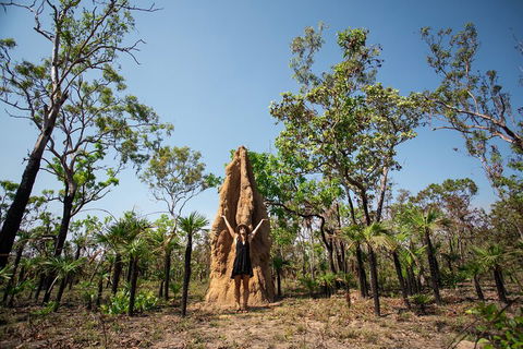 Litchfield National Park - Top End Day Tour From Darwin - QLD Tourism 5