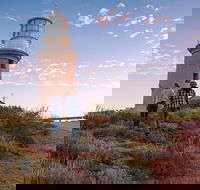 6-Day Coral Coaster from Perth to Exmouth One-Way via Monkey Mia Ningaloo Reef - QLD Tourism