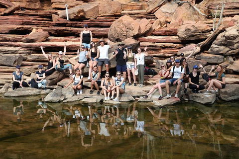 6-Day Coral Coaster From Perth To Exmouth One-Way Via Monkey Mia Ningaloo Reef - QLD Tourism 2