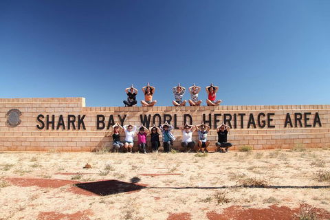 6-Day Coral Coaster From Perth To Exmouth One-Way Via Monkey Mia Ningaloo Reef - QLD Tourism 4