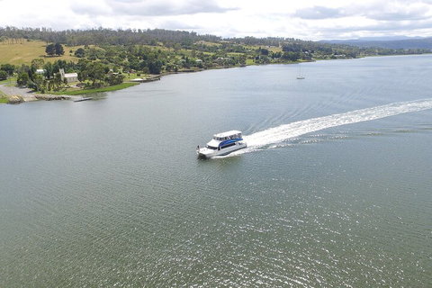 2.50 Hour Afternoon Discovery Cruise Including Cataract Gorge Departing At 3 Pm - QLD Tourism 4