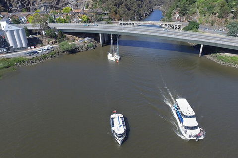 2.5 Hour Afternoon Discovery Cruise Including Cataract Gorge Departs At 1: 30 Pm - QLD Tourism 5