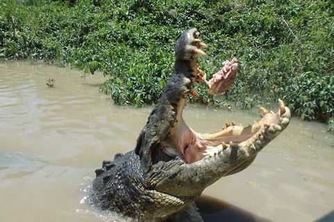 Litchfield And Jumping Crocodiles Full Day Trip From Darwin - QLD Tourism 3