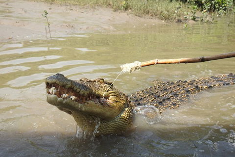 Litchfield And Jumping Crocodiles Full Day Trip From Darwin - QLD Tourism 4