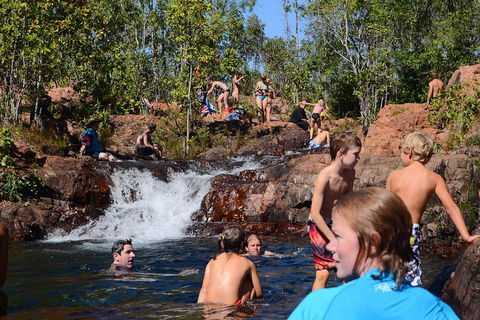 Litchfield And Jumping Crocodiles Full Day Trip From Darwin - QLD Tourism 5
