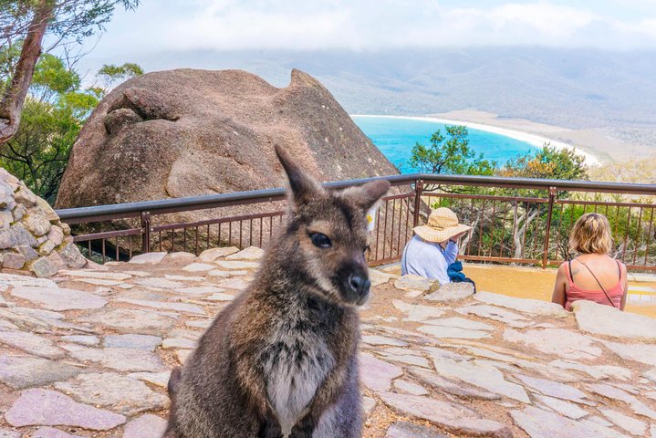  QLD Tourism