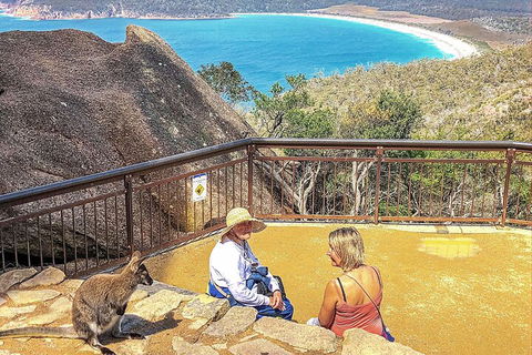 Wineglass Bay & Freycinet NP Full Day Tour From Hobart Via Richmond Village - QLD Tourism 1