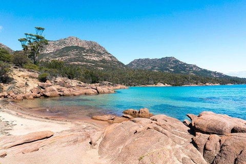 Wineglass Bay & Freycinet NP Full Day Tour From Hobart Via Richmond Village - QLD Tourism 5