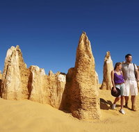 Pinnacles Day Trip from Perth Including Yanchep National Park - QLD Tourism