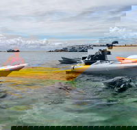 Seal Island and Penguin Island or Point Peron Sea Kayak Tour - QLD Tourism