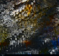 Ngilgi Cave Semi-guided Tour - QLD Tourism