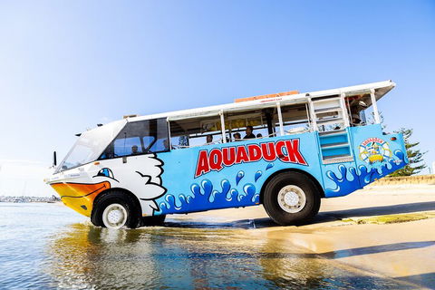 Aquaduck & Your Choice Of Gold Coast Rainforest Tour - QLD Tourism 3