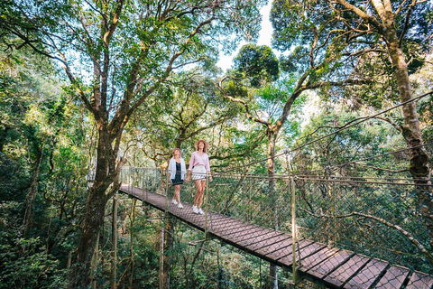 Aquaduck & Your Choice Of Gold Coast Rainforest Tour - QLD Tourism 4