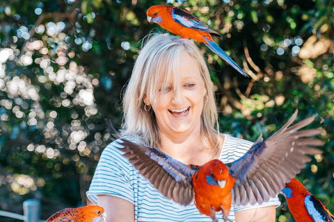 Aquaduck & Your Choice Of Gold Coast Rainforest Tour - QLD Tourism 5
