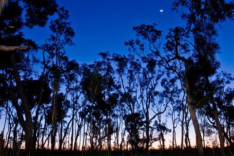 Small-Group Kangaroo Island 4WD Night Tour - QLD Tourism 2