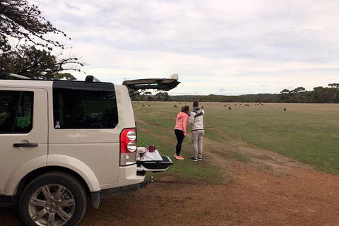 Kangaroo Island 4WD Tour - Flinders Chase - QLD Tourism 3