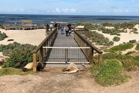 Kangaroo Island 4WD Tour - Best Of KI - QLD Tourism 2