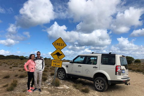 Kangaroo Island 4WD Tour - Best Of KI - QLD Tourism 5