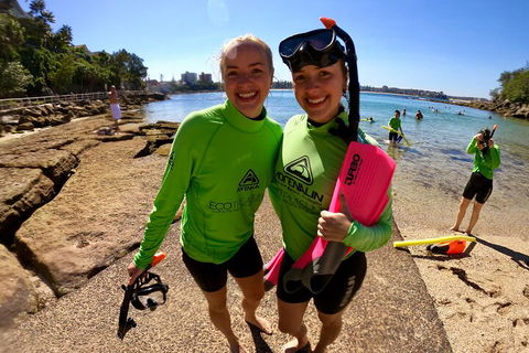 Manly Snorkel Trip And Nature Walk With Local Guide - QLD Tourism 1