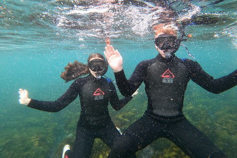 Manly Snorkel Trip And Nature Walk With Local Guide - QLD Tourism 3