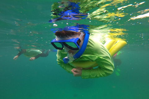 Manly Snorkel Trip And Nature Walk With Local Guide - QLD Tourism 5
