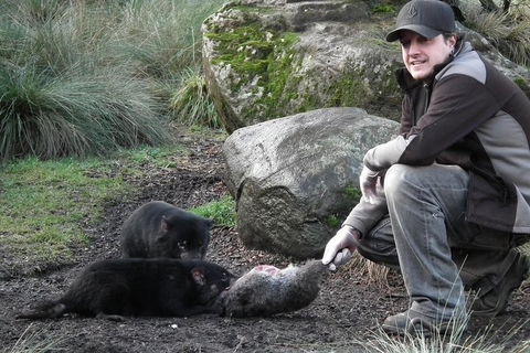 After Dark Tasmanian Devil Feeding Tour At Cradle Mountain - QLD Tourism 2
