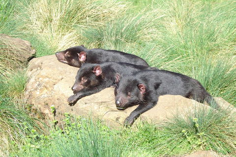 Day Keeper Tour - QLD Tourism 3