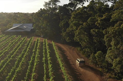 The All About Margaret River Tour: Wine, Coffee, Lunch And Forest - QLD Tourism 1