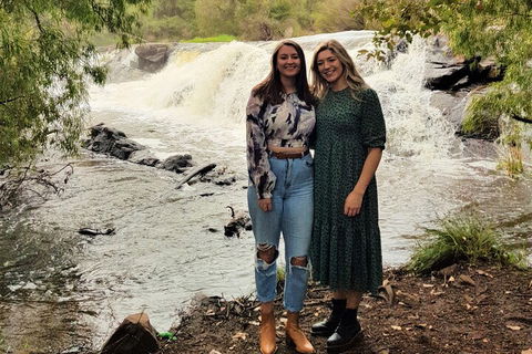 The All About Margaret River Tour: Wine, Coffee, Lunch And Forest - QLD Tourism 2