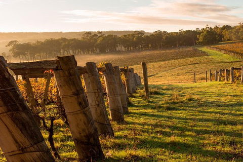 The All About Margaret River Tour: Wine, Coffee, Lunch And Forest - QLD Tourism 5